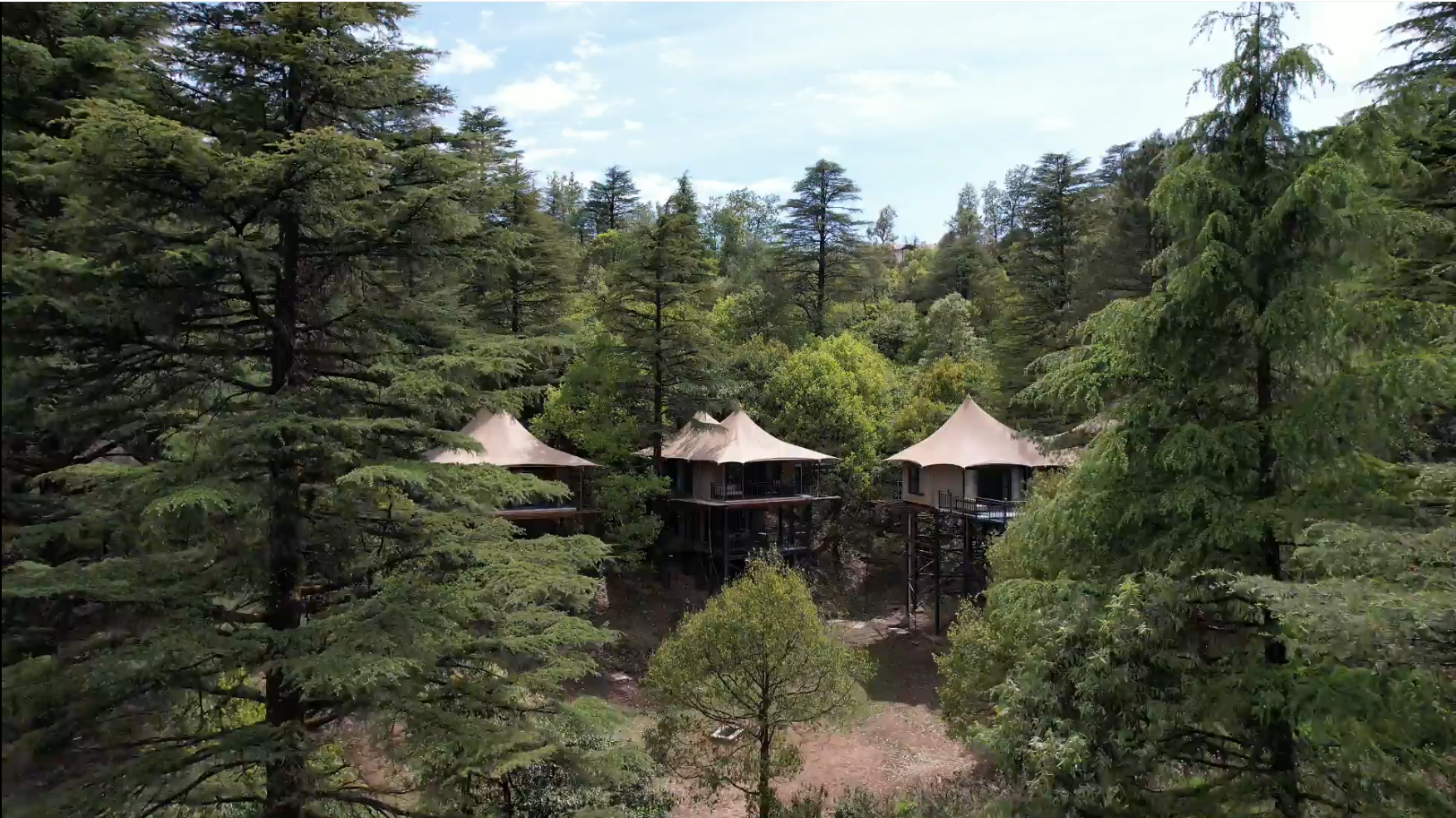 Tented accommodation among deodar trees at Everest Base Camp, Mussoorie