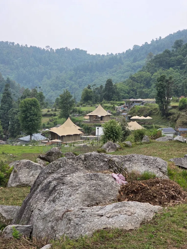Bespoke glamping tents on a wooded hillside at Saraaya Glamps near Dharamshala