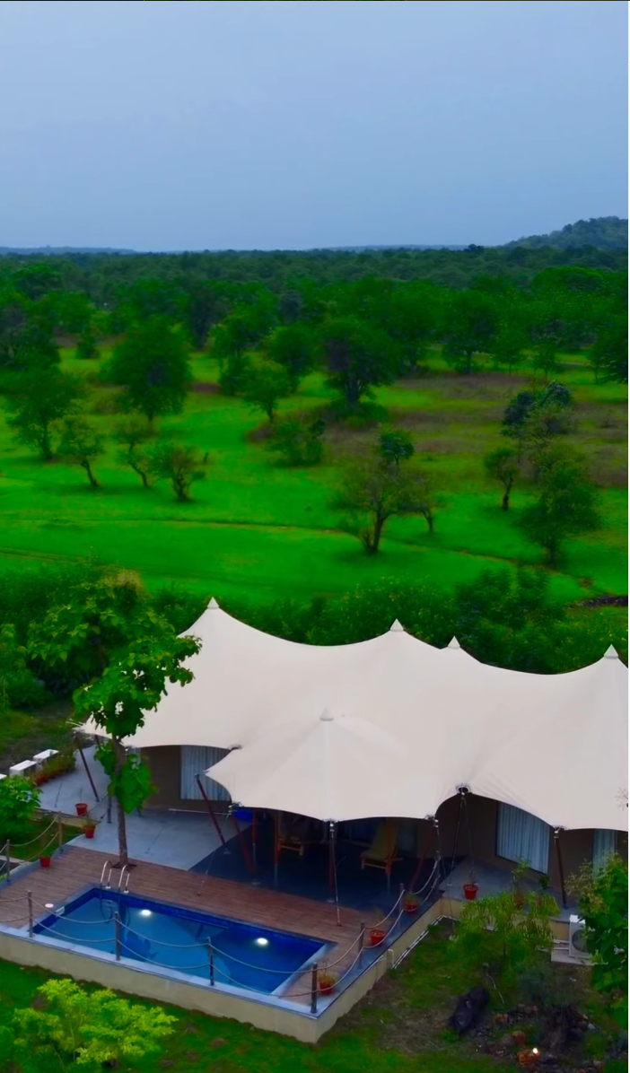 The Opal+ tent with a pool and deck amid green surroundings at Untamed Paws, Tipeshwar